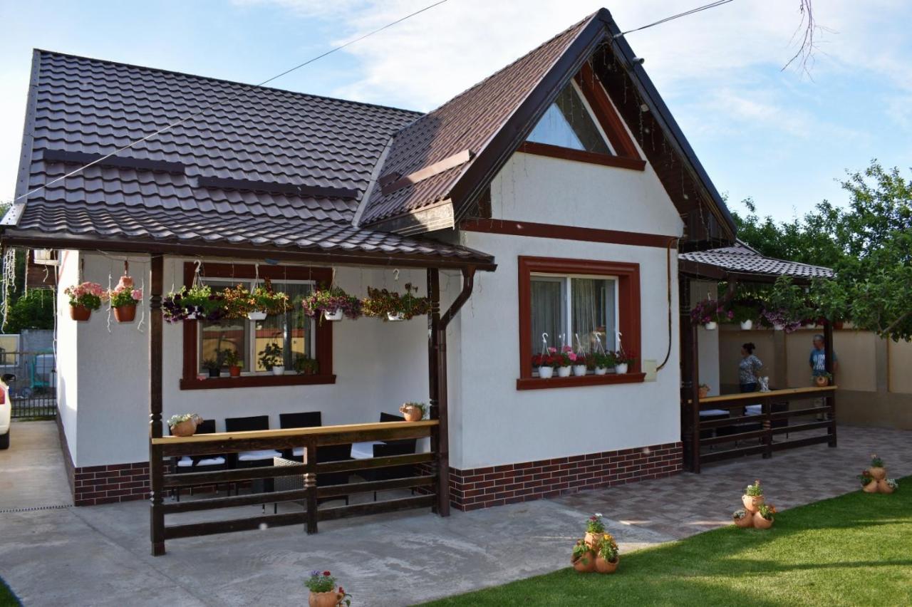 Casa De Vacanta Dalia Si Crina Babadag Exterior photo